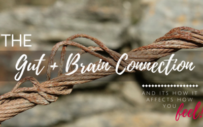 A love story | The Gut + Brain Connection