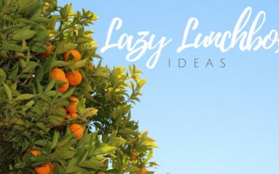 Lazy Lunch Box Ideas – Turkey Roll Ups
